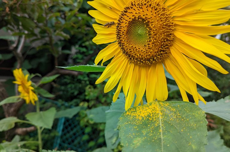 営業時間のご案内